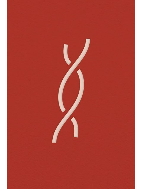 Ο ΑΝΗΦΟΡΟΣ (ΣΚΛΗΡΌΔΕΤΟ)