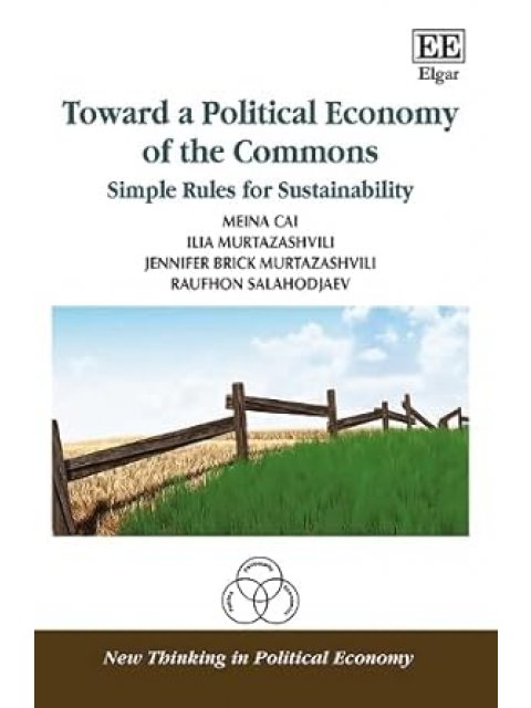 TOWARD A POLITICAL ECONOMY OF THE COMMONS
