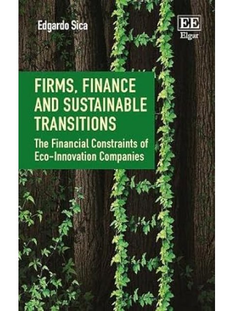 FIRMS, FINANCE AND SUSTAINABLE TRANSITIONS