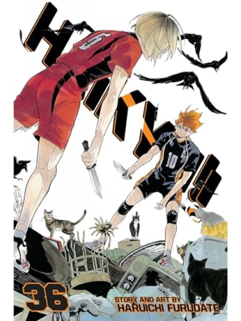 HAIKYU!!, VOL. 36  PA