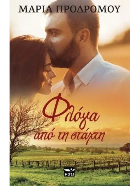 ΦΛΟΓΑ ΑΠΟ ΤΗ ΣΤΑΧΤΗ