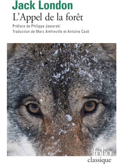 L'APPEL DE LA FORET
