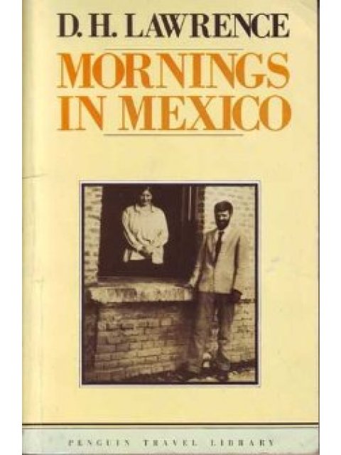 PENGUIN TRAVEL LIBRARY : MORNINGS IN MEXICO PB B FORMAT