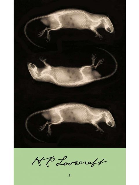 Η.P. LOVECRAFT 9: ΤΑ ΠΟΝΤΙΚΙΑ ΣΤΟΥΣ ΤΟΙΧΟΥΣ