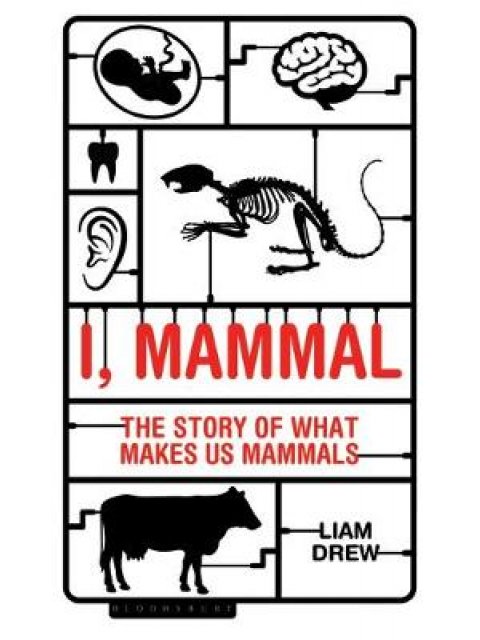 I,MAMMAL : THE STORY OF WHAT MAKES US MAMMALS HC