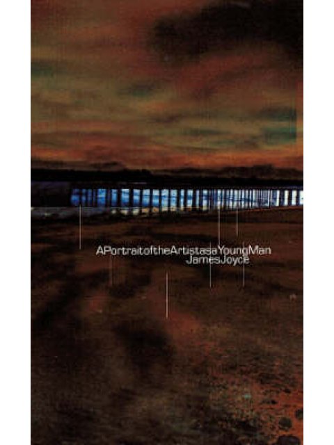 PENGUIN MODERN CLASSICS : A PORTRAIT OF THE ARTIST AS A YOUNG MAN PB B FORMAT