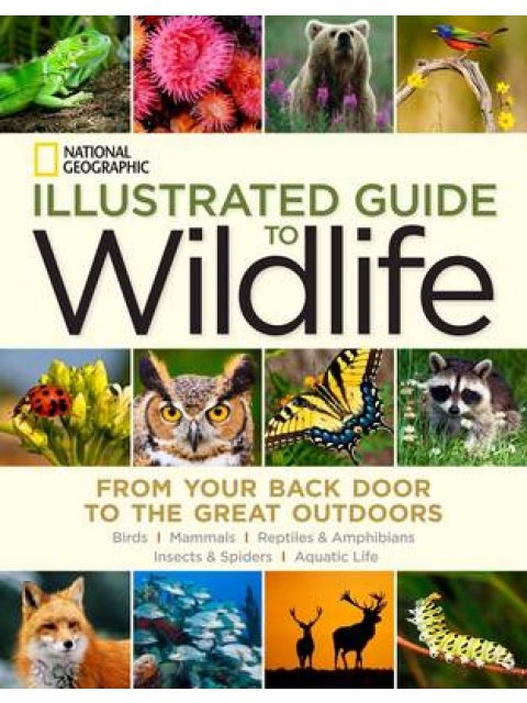 NGEO ILLUSTRATED GDE WILDLIFE