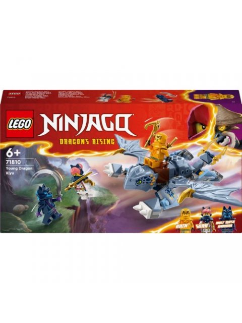 LEGO NINJAGO: YOUNG DRAGON RIYU