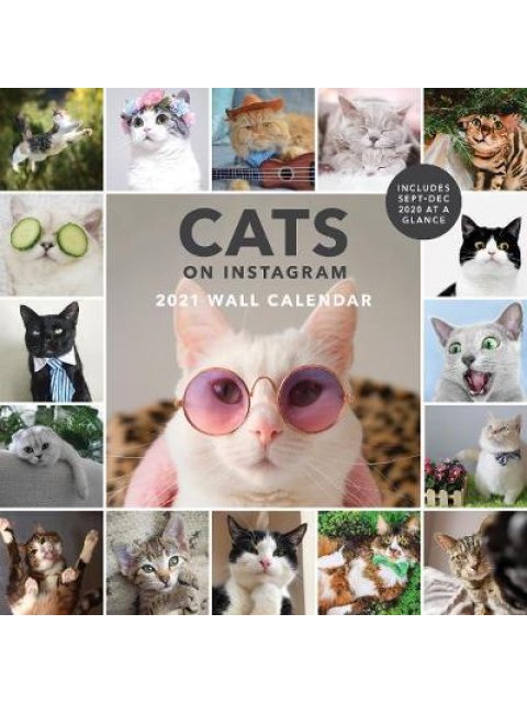 CATS ON INSTAGRAM - 2021 WALL CALENDAR