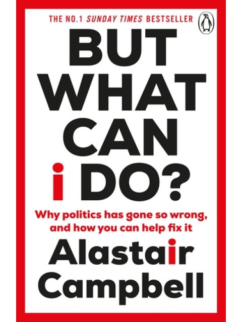 BUT WHAT CAN I DO? : WHY POLITICS HAS GONE SO WRONG, AND HOW YOU CAN HELP FIX IT PB