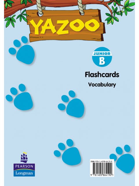 YAZOO JUNIOR B FLASHCARDS (VOCABULARY)