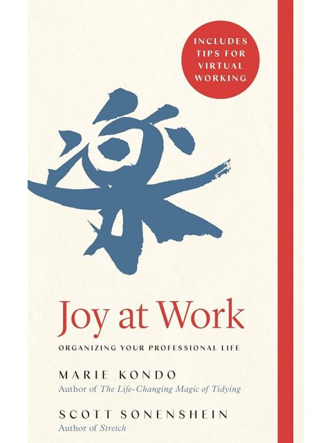 JOY AT WORK: ORGANIZING YOUR PROFESSIONAL LIFE PB