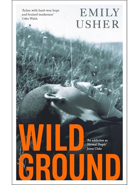 Wild Ground HC