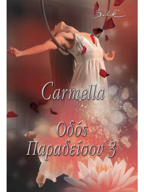 ΟΔΟΣ ΠΑΡΑΔΕΙΣΟΥ 3