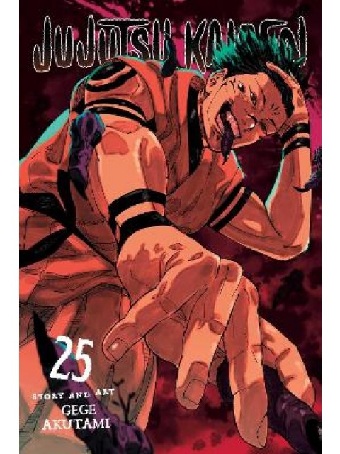 JUJUTSU KAISEN, VOL. 25 PA