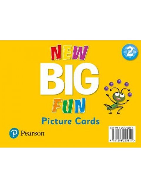 NEW BIG FUN 2 PICTURE CARDS