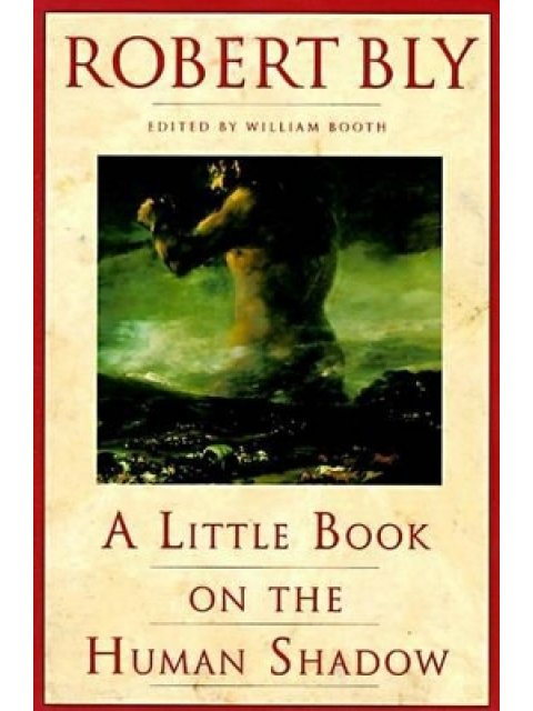 A Little Book on the Human Shadow