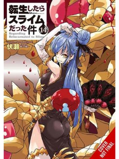 THAT TIME I GOT REINCARNATED AS A SLIME, VOL. 14 (LIGHT NOVEL)