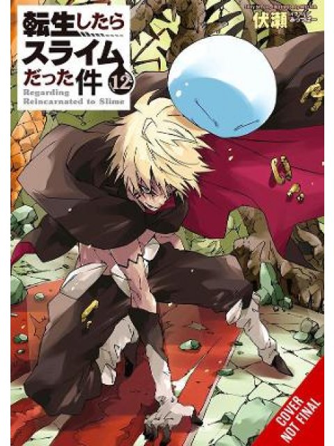 THAT TIME I REINCARNATED SLIME LIGHT NOVEL SC VOL PB