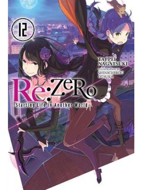 RE ZERO SLIAW LIGHT NOVEL SC VOL 12 PB