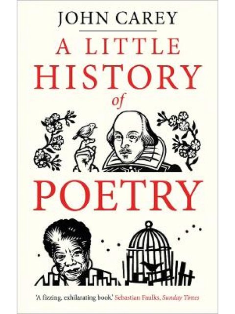 A LITTLE HISTORY OF POETRY PB