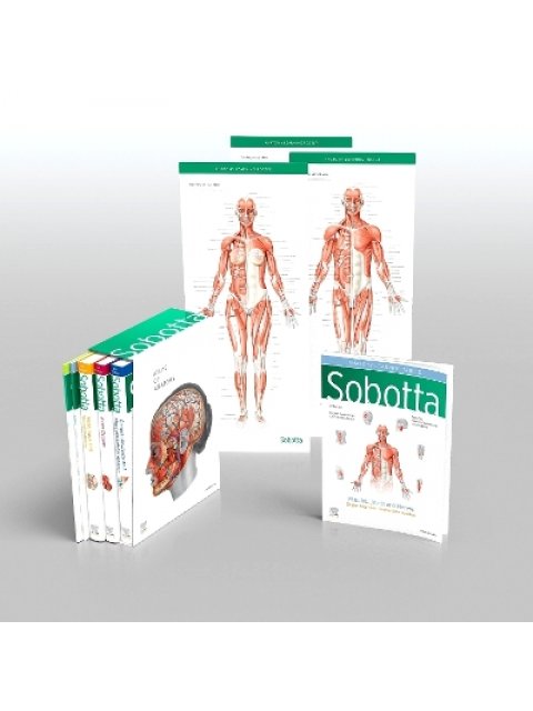 SOBOTTA ATLAS OF ANATOMY