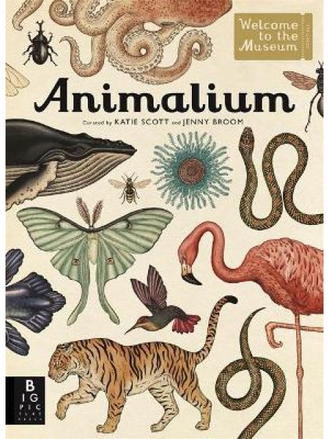 ANIMALIUM WELCOME TO THE MUSEUM HC