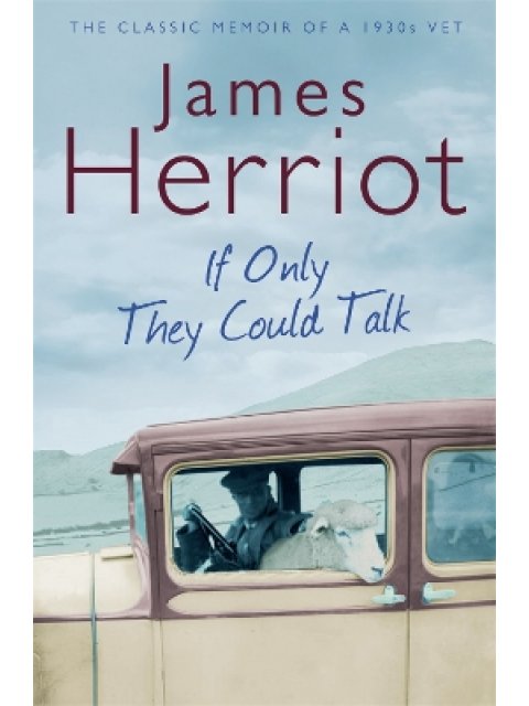 IF ONLY THEY COULD TALK