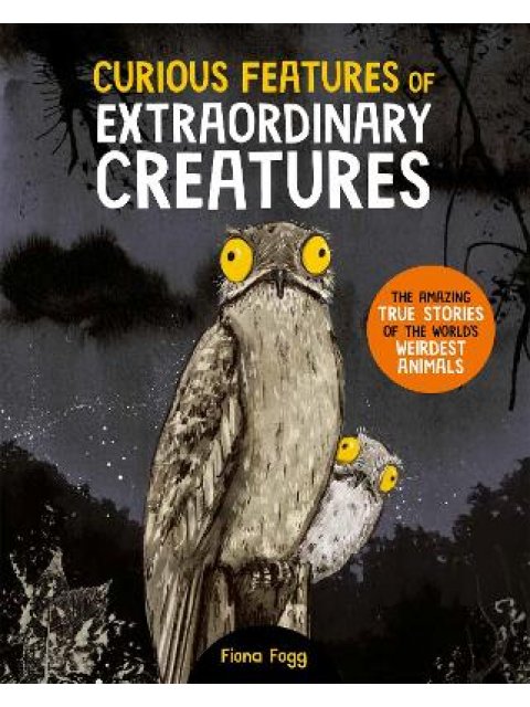 CURIOUS FEATURES OF EXTRAORDINARY C