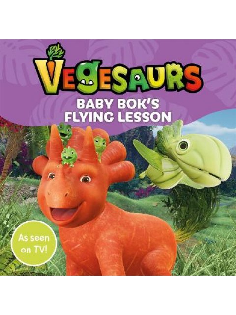 BABY BOKS FLYING LESSON MME