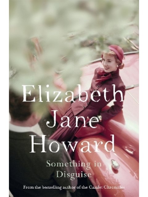 SOMETHING IN DISGUISE