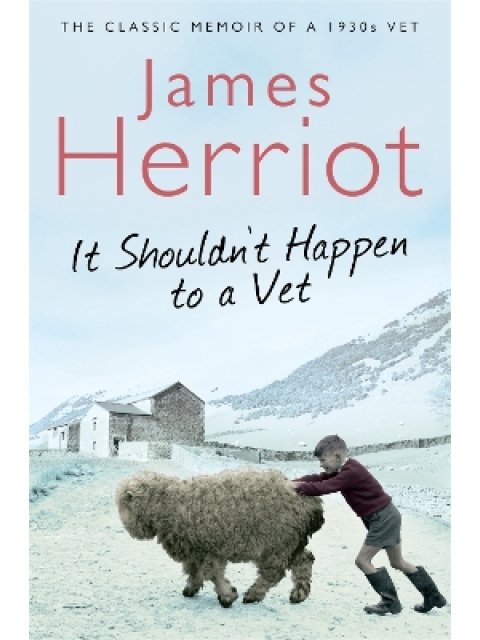 IT SHOULDNT HAPPEN TO A VET (PB)