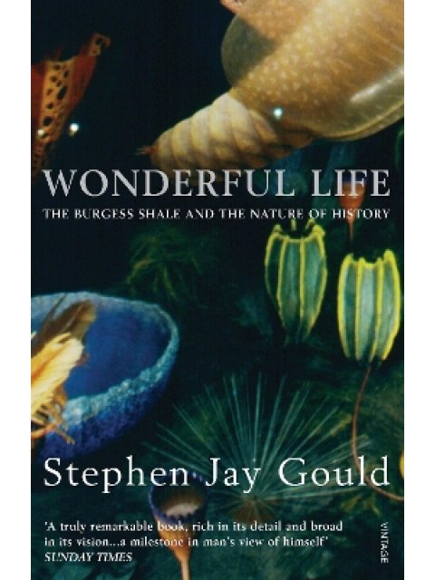 WONDERFUL LIFE PB