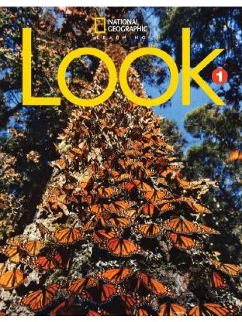 LOOK 1 SB ( + SPARK) AMER. ED