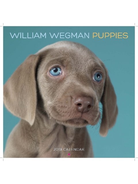 WILLIAM WEGMAN PUPPIES 2019 WALL CALENDAR CALENDAR