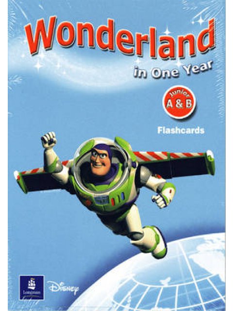 WONDERLAND IN ONE YEAR A & B FLASHCARDS