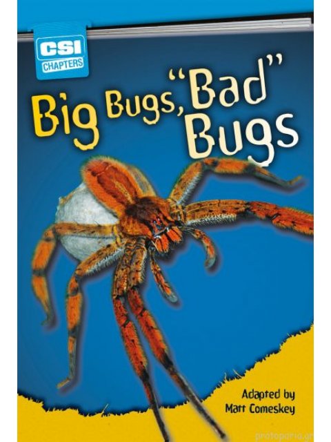CSI CHAPTERS:BIG BUGS,BAD BUGS