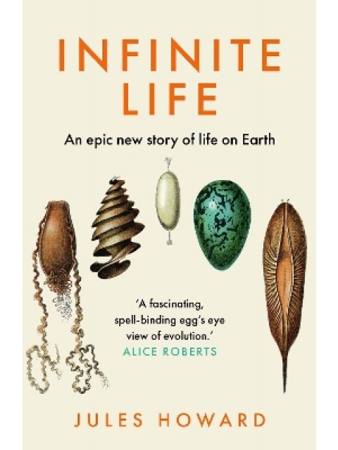 INFINITE LIFE : AN EPIC NEW STORY OF LIFE ON EARTH PB