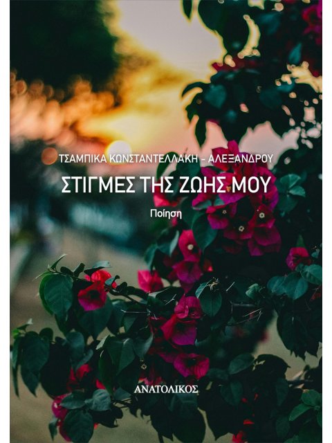 ΣΤΙΓΜΕΣ ΤΗΣ ΖΩΗΣ ΜΟΥ