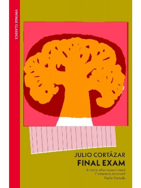 VINTAGE CLASSICS : Final Exam PB