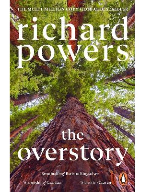 THE OVERSTORY PB