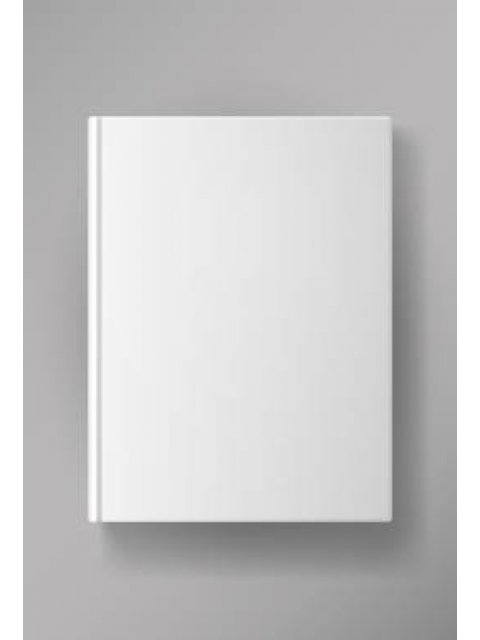 ΙΣΤΟΡΙΑ ΤΟΥ ΑΣΤΙΚΟΥ ΦΑΙΝΟΜΕΝΟΥ : Η ΑΝΑΔΥΣΗ ΤΩΝ ΠΟΛΕΩΝ ΤΗΣ ΦΛΑΝΔΡΑΣ ΚΑΤΑ ΤΟΝ ΜΕΣΑΙΩΝΑ