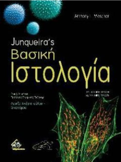 JUNQUEIRA'S ΒΑΣΙΚΗ ΙΣΤΟΛΟΓΙΑ