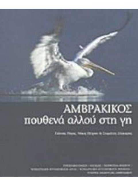 ΑΜΒΡΑΚΙΚΟΣ ΠΟΥΘΕΝΑ ΑΛΛΟΥ ΣΤΗ ΓΗ