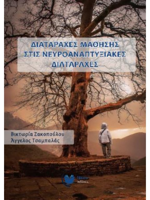ΔΙΑΤΑΡΑΧΕΣ ΜΑΘΗΣΗΣ ΣΤΙΣ ΝΕΥΡΟΑΝΑΠΤΥΞΙΑΚΕΣ ΔΙΑΤΡΑΧΕΣ