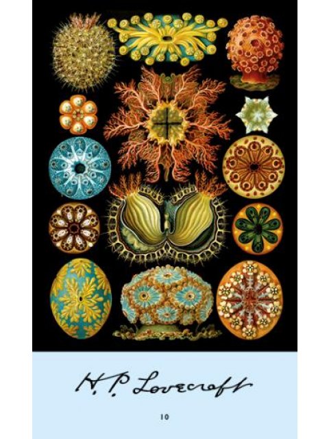 LOVECRAFT 10: Η ΟΝΕΙΡΙΚΗ ΑΝΑΖΗΤΗΣΗ ΤΗΣ AΓΝΩΣΤΗΣ ΚΑΝΤAΘ