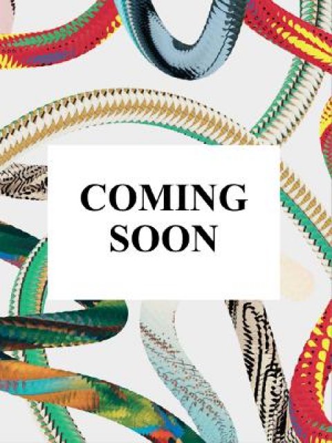 TASCHEN BASIC ART SERIES : Shigeru Ban HC