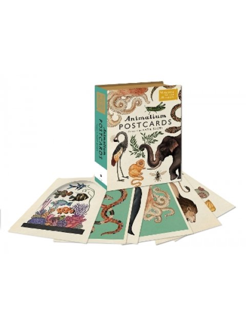 Welcome to the Museum: Animalium Postcards