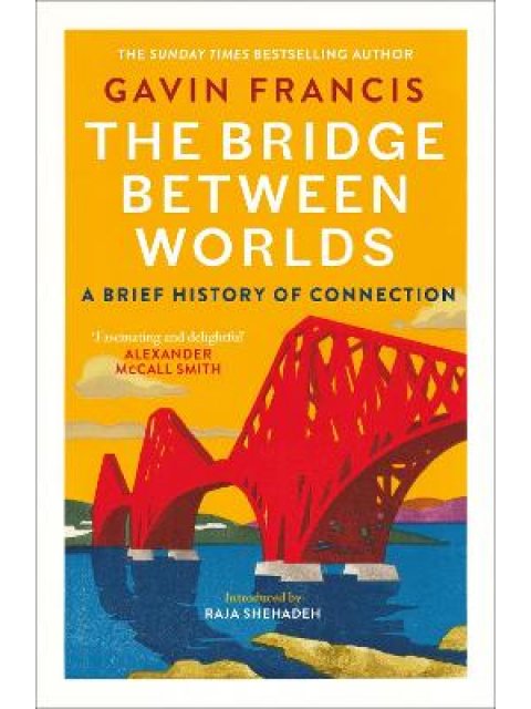 THE BRIDGE BETWEEN WORLDS : A BRIEF HISTORY OF CONNECTION PB
