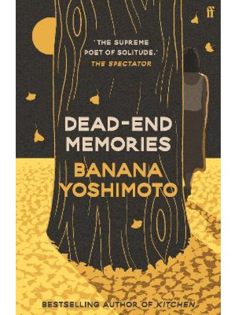 DEAD-END MEMORIES PB